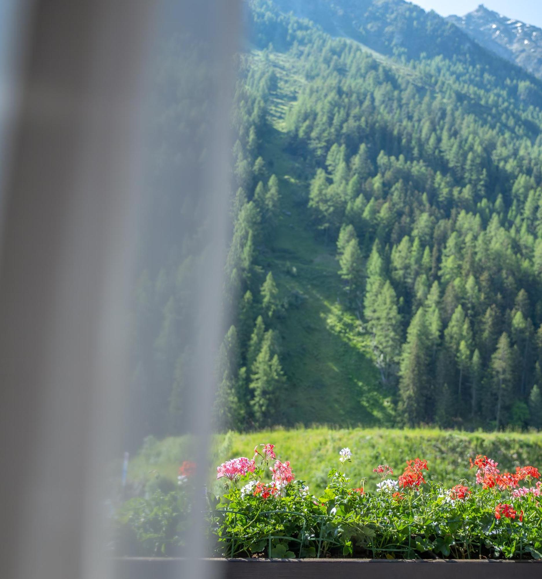 Hotel Cristal - Swiss Riders Lodge Гріменц Екстер'єр фото