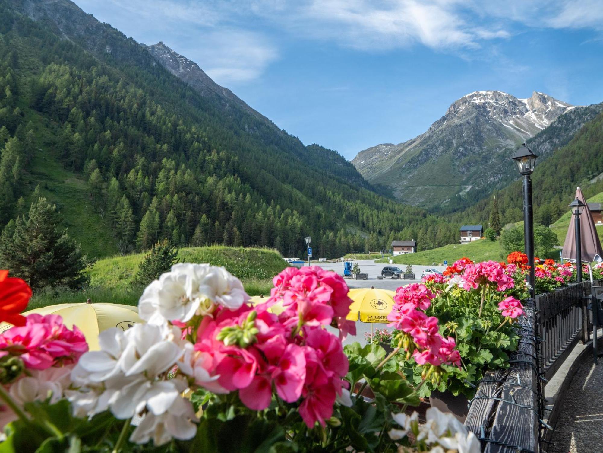 Hotel Cristal - Swiss Riders Lodge Гріменц Екстер'єр фото